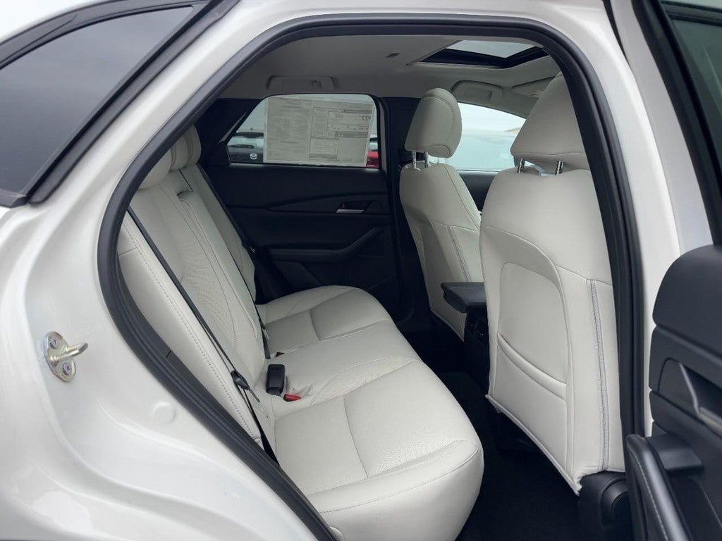 2026 Mazda Mazda CX-30 2.5 S Premium AWD