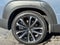 2025 Mazda Mazda CX-50 2.5 S Premium Plus Package AWD